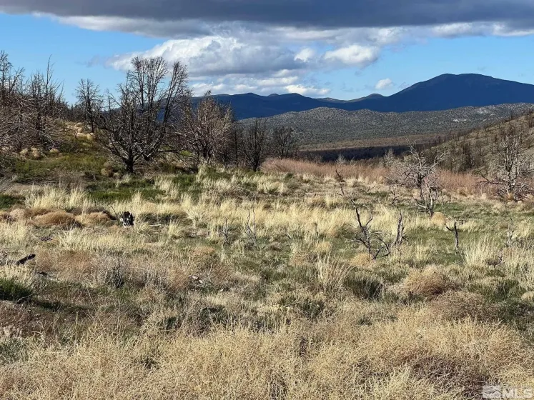 TBD parcels at Pine Nut Creek area, Gardnerville, Nevada 89410, ,Land,Residential,parcels at Pine Nut Creek area,220001078