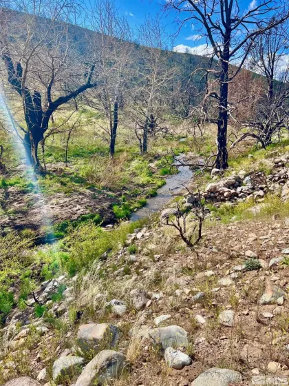 TBD parcels at Pine Nut Creek area, Gardnerville, Nevada 89410, ,Land,Residential,parcels at Pine Nut Creek area,220001078