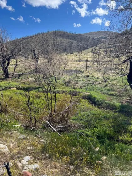 TBD parcels at Pine Nut Creek area, Gardnerville, Nevada 89410, ,Land,Residential,parcels at Pine Nut Creek area,220001078