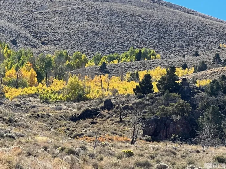 TBD parcels at Pine Nut Creek area, Gardnerville, Nevada 89410, ,Land,Residential,parcels at Pine Nut Creek area,220001078