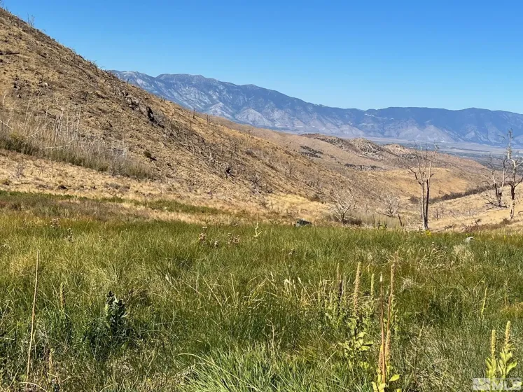 TBD parcels at Pine Nut Creek area, Gardnerville, Nevada 89410, ,Land,Residential,parcels at Pine Nut Creek area,220001078