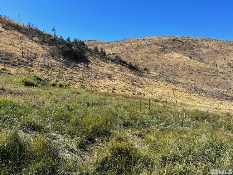 TBD parcels at Pine Nut Creek area, Gardnerville, Nevada 89410, ,Land,Residential,parcels at Pine Nut Creek area,220001078