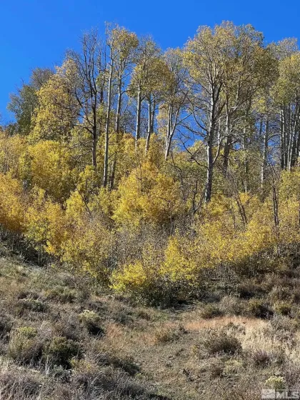 TBD parcels at Pine Nut Creek area, Gardnerville, Nevada 89410, ,Land,Residential,parcels at Pine Nut Creek area,220001078