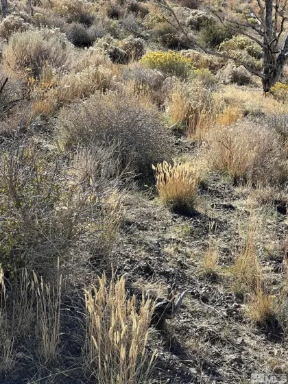 TBD parcels at Pine Nut Creek area, Gardnerville, Nevada 89410, ,Land,Residential,parcels at Pine Nut Creek area,220001078