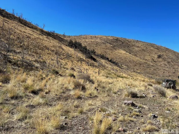 TBD parcels at Pine Nut Creek area, Gardnerville, Nevada 89410, ,Land,Residential,parcels at Pine Nut Creek area,220001078