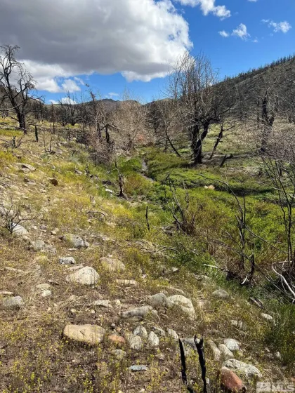 TBD parcels at Pine Nut Creek area, Gardnerville, Nevada 89410, ,Land,Residential,parcels at Pine Nut Creek area,220001078