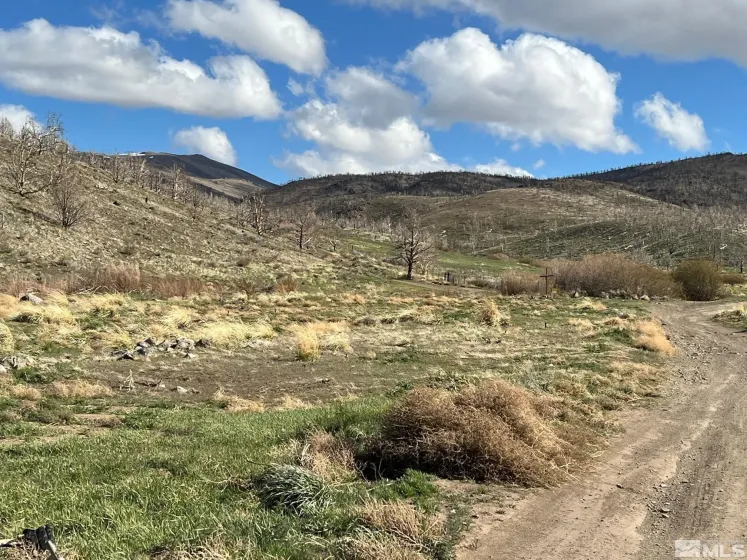 TBD parcels at Pine Nut Creek area, Gardnerville, Nevada 89410, ,Land,Residential,parcels at Pine Nut Creek area,220001078