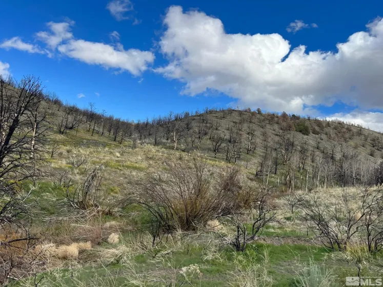 TBD parcels at Pine Nut Creek area, Gardnerville, Nevada 89410, ,Land,Residential,parcels at Pine Nut Creek area,220001078