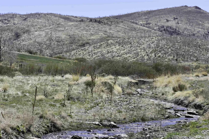 TBD parcels at Pine Nut Creek area, Gardnerville, Nevada 89410, ,Land,Residential,parcels at Pine Nut Creek area,220001078