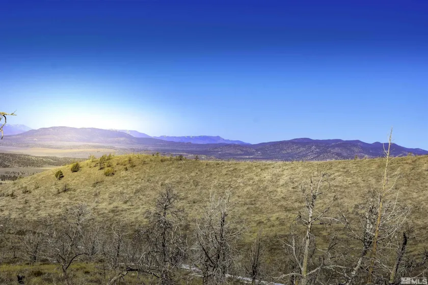 TBD parcels at Pine Nut Creek area, Gardnerville, Nevada 89410, ,Land,Residential,parcels at Pine Nut Creek area,220001078