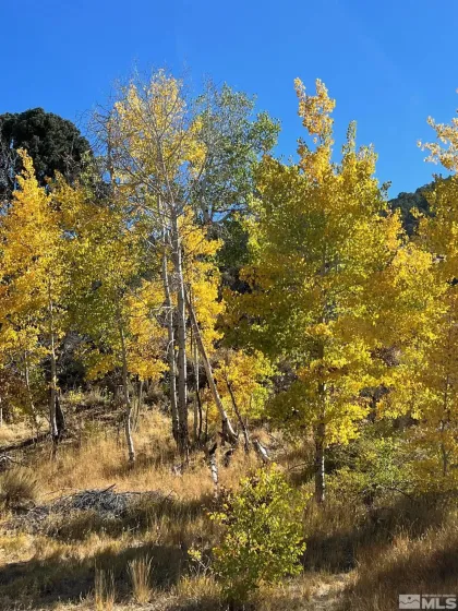 TBD El Dorado, Smith, Nevada 89447, ,Land,Residential,El Dorado,220016527