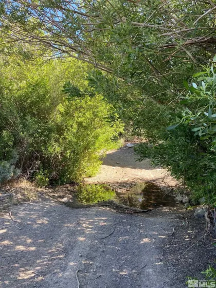 TBD El Dorado, Smith, Nevada 89447, ,Land,Residential,El Dorado,220016527