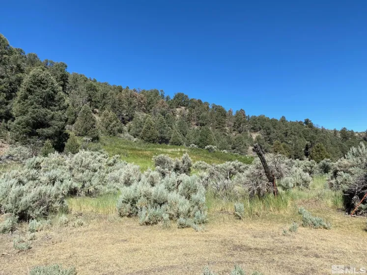 TBD El Dorado, Smith, Nevada 89447, ,Land,Residential,El Dorado,220016527