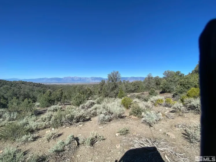 TBD El Dorado, Smith, Nevada 89447, ,Land,Residential,El Dorado,220016527