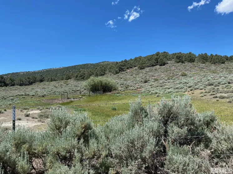 TBD El Dorado, Smith, Nevada 89447, ,Land,Residential,El Dorado,220016527
