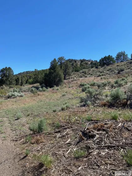 tbd El Dorado, Carson City, Nevada 89701, ,Land,Residential,El Dorado,220006356