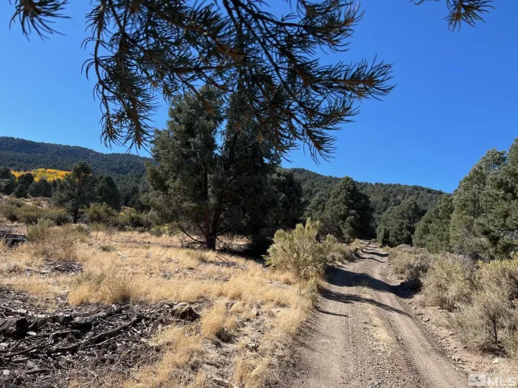 tbd El Dorado, Carson City, Nevada 89701, ,Land,Residential,El Dorado,220006356