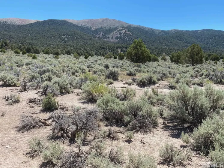 tbd El Dorado, Carson City, Nevada 89701, ,Land,Residential,El Dorado,220006356