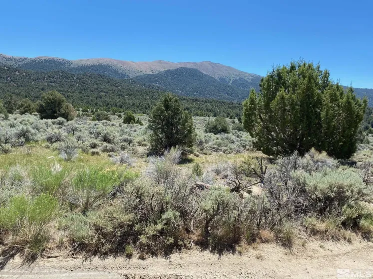 tbd El Dorado, Carson City, Nevada 89701, ,Land,Residential,El Dorado,220006356