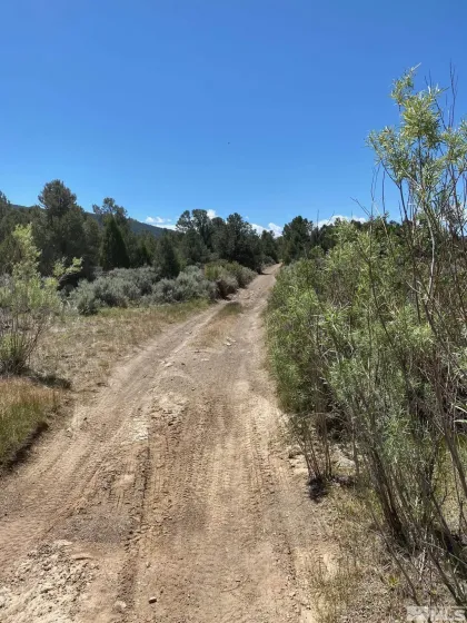 tbd El Dorado, Carson City, Nevada 89701, ,Land,Residential,El Dorado,220006356
