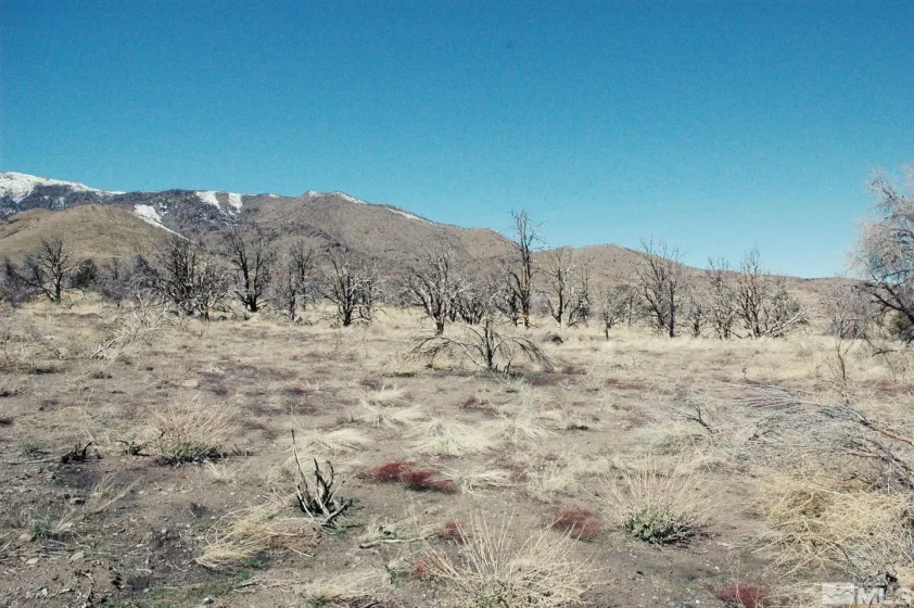 3222 Victory, Gardnerville, Nevada 89410, ,Land,Residential,Victory,240002825