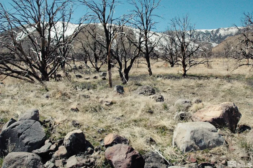 3222 Victory, Gardnerville, Nevada 89410, ,Land,Residential,Victory,240002825