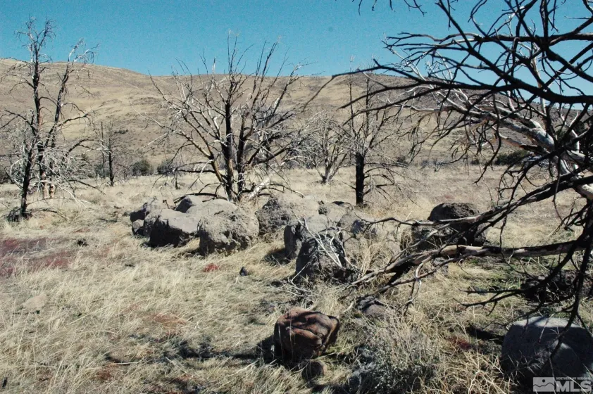 3222 Victory, Gardnerville, Nevada 89410, ,Land,Residential,Victory,240002825