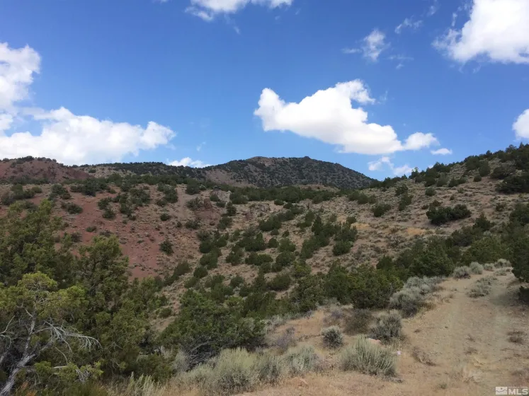 2300 Piute Creek, Reno, Nevada 89510, ,Land,Residential,Piute Creek,240000135