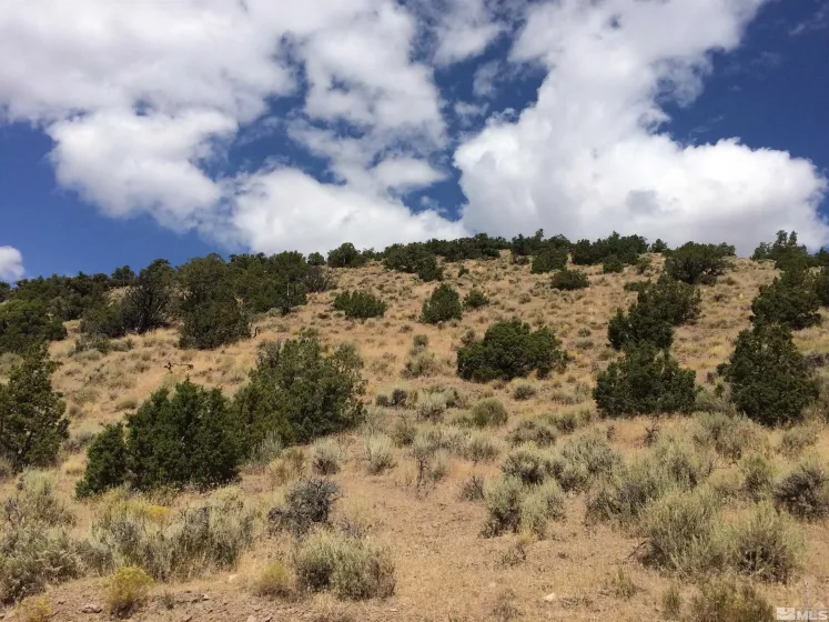 2300 Piute Creek, Reno, Nevada 89510, ,Land,Residential,Piute Creek,240000135