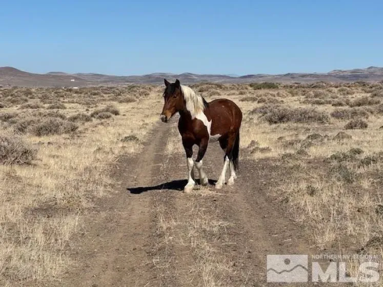 5190 Esther, Silver Springs, Nevada 89429, ,Land,Residential,Esther,250004677