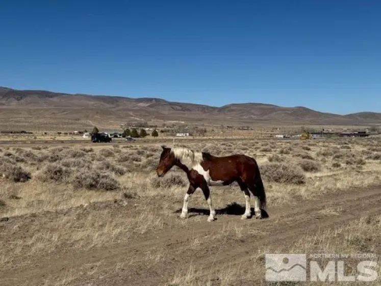 5190 Esther, Silver Springs, Nevada 89429, ,Land,Residential,Esther,250004677