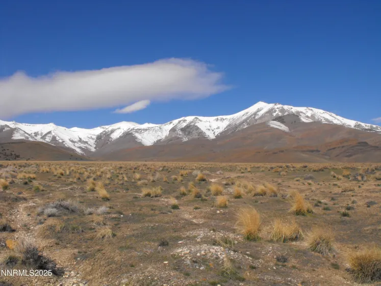 0 Coyote Canyon Rd, Unionville, Nevada 89418, ,Land,Residential,Coyote Canyon Rd,250058510