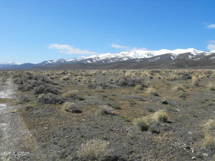 0 Coyote Canyon Rd, Unionville, Nevada 89418, ,Land,Residential,Coyote Canyon Rd,250058510