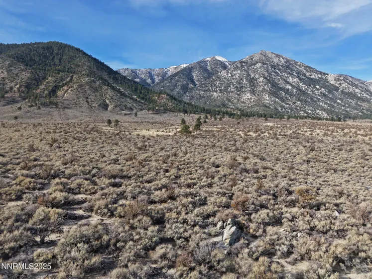 1 Foothill, Markleeville, California 96120, ,Land,Residential,Foothill,260000146