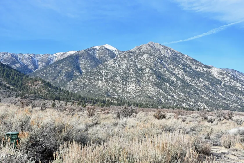 1 Foothill, Markleeville, California 96120, ,Land,Residential,Foothill,260000146