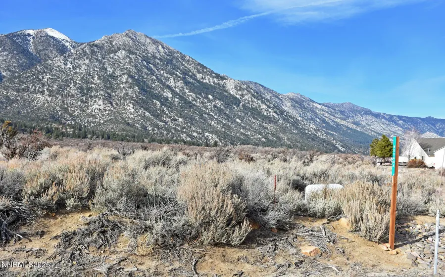 1 Foothill, Markleeville, California 96120, ,Land,Residential,Foothill,260000146