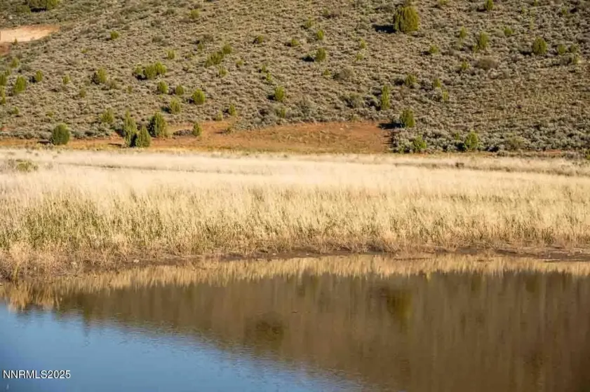 0 Chokecherry, Reno, Nevada 89508, ,Land,Residential,Chokecherry,260000149