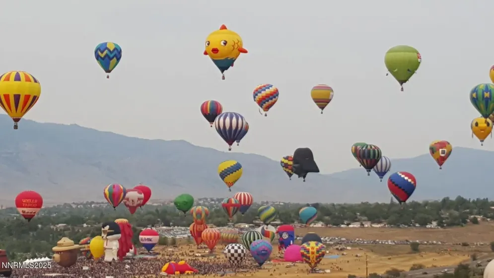Balloon Races from the backyard!