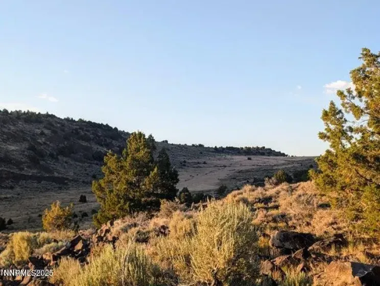 2980 Star, Reno, Nevada 89521, ,Land,Residential,Star,260000182