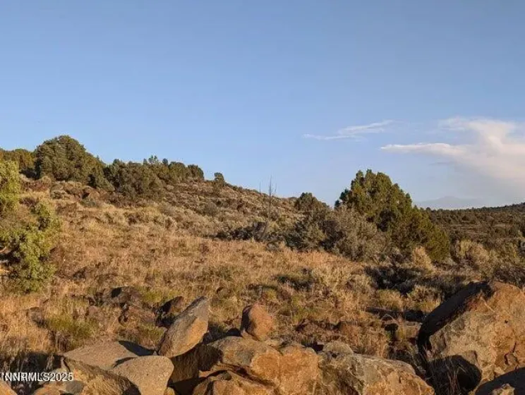 2980 Star, Reno, Nevada 89521, ,Land,Residential,Star,260000182