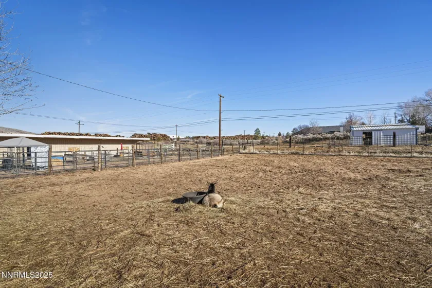 3687 Shawnee, Carson City, Nevada 89705, 4 Bedrooms Bedrooms, ,2 BathroomsBathrooms,Residential,Residential,Shawnee,260000200