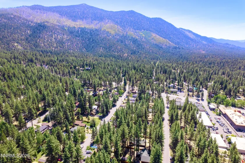 173 Cottonwood, Stateline, Nevada 89449, 3 Bedrooms Bedrooms, ,2 BathroomsBathrooms,Residential,Residential,Cottonwood,260000236