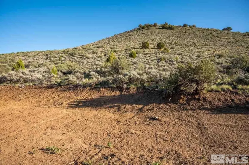 0 Chokecherry, Reno, Nevada 89508, ,Land,Residential,Chokecherry,250005662