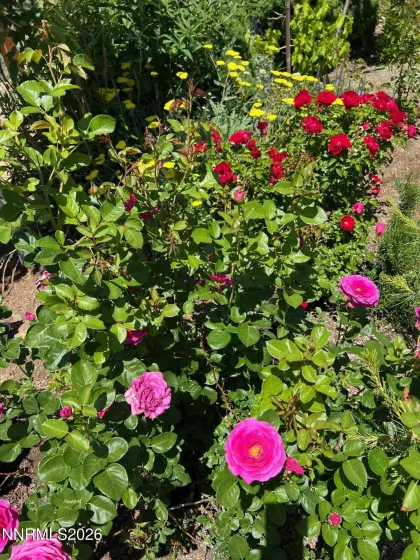 7707 Rhythm, Sparks, Nevada 89436, 4 Bedrooms Bedrooms, ,2 BathroomsBathrooms,Residential,Residential,Rhythm,260000310