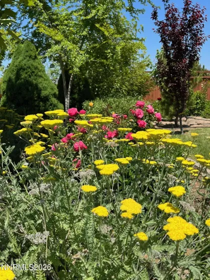 7707 Rhythm, Sparks, Nevada 89436, 4 Bedrooms Bedrooms, ,2 BathroomsBathrooms,Residential,Residential,Rhythm,260000310