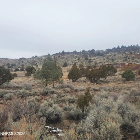 3460 Cartwright, Reno, Nevada 89521, ,Land,Residential,Cartwright,260000315