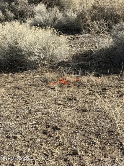 206 First, Goldfield, Nevada 89013, ,Land,Residential,First,260000353