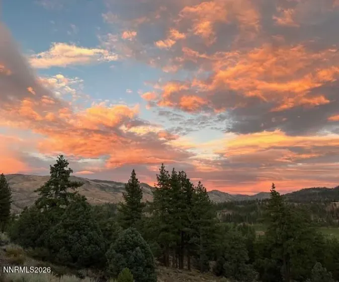 245 Hot Springs, Markleeville, California 96120, 3 Bedrooms Bedrooms, ,6 BathroomsBathrooms,Residential,Residential,Hot Springs,260000369