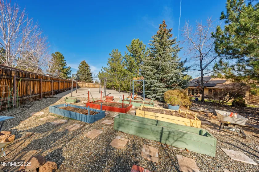 BACKYARD GARDEN BOXES