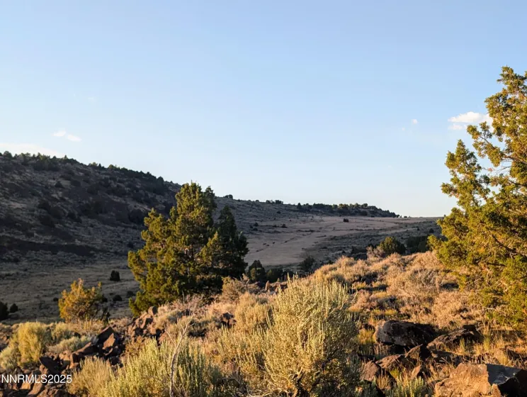 2980 Star, Reno, Nevada 89521, ,Land,Residential,Star,250052366